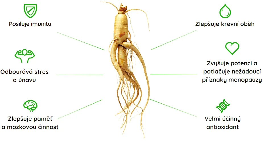 benefity-zensenu
